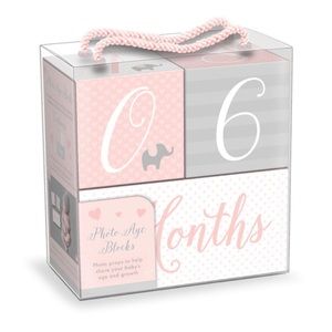 Baby Milestone Age Blocks